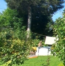 Продажа дома Восход садоводческий массив, Треугольник СНТ, 11-я линия, 67