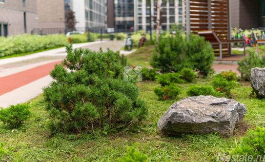 Продажа 1-комн квартиры на вторичном рынке Светлановский пр-кт,  д. 14,  к. 1 стр 1