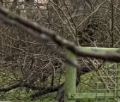 Продать Дачи, коттеджи, загородные дома д. Трудовик, 16   