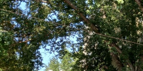 2-комн квартира 4-й Рощинский проезд, 16