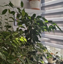 Продажа 3-комн квартиры на вторичном рынке ул Широкая,  д. 17,  к. 1