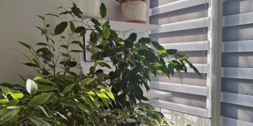 3-комн квартира ул Широкая,  д. 17,  к. 1