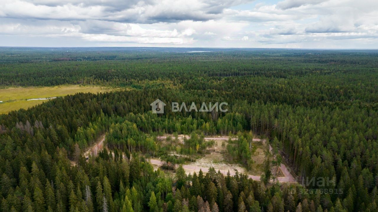 Продажа земли Рощино пгт, проезд Мельничный