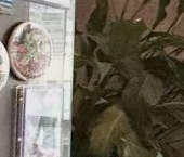 Продать Квартиры вторичка Туристская улица, 22   