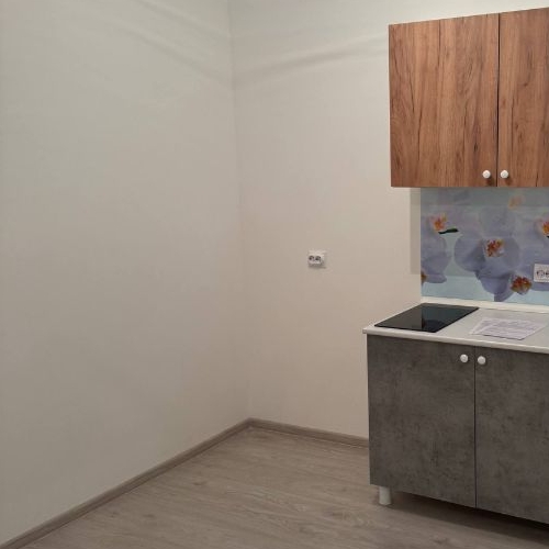 Студия пос. Шушары, улица Чудовская, 14к1