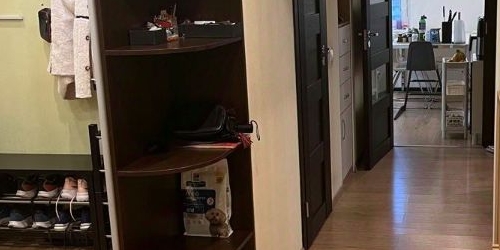 4-комн квартира проспект Энергетиков, 9К1