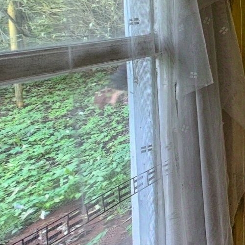 Коттедж/дом Пластполимер-1 СНТ, улица Садовая,  д. 71