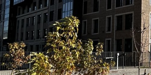 1-комн квартира Ремесленная улица, 15