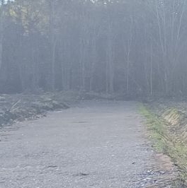 Продажа земли д. Светлое, улица Главная