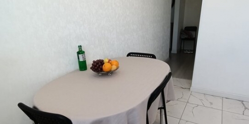 2-комн квартира улица Василия Петушкова,  д. 11