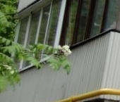 Продать Квартиры вторичка улица Лавочкина, 56/23   