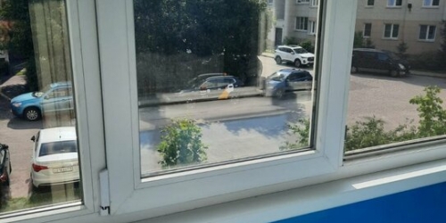 1-комн квартира Приморское шоссе,  д. 275