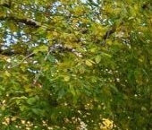 Продать Квартиры вторичка улица Машкова, 6С1   