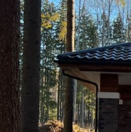 Продажа дома Рощино пгт, улица Асташева, 16
