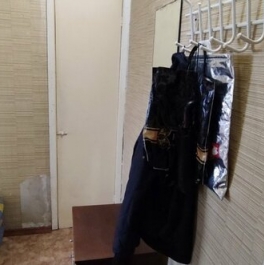 Аренда 1-комн квартиры на вторичном рынке Петергоф г, Блан-Менильская ул,  д. 11