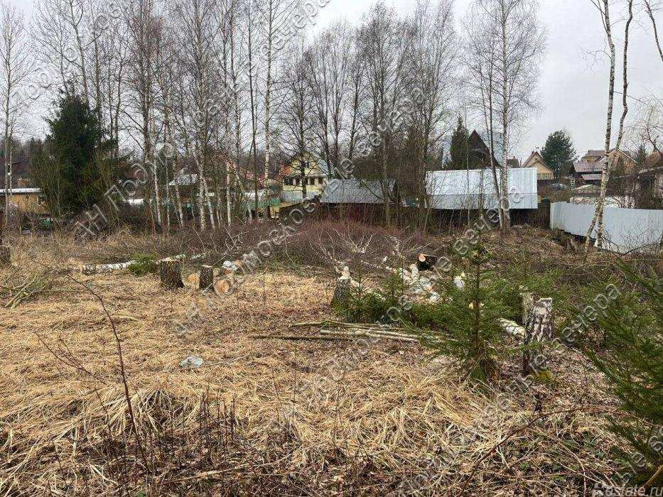 Продажа земли Белозерово деревня,