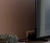 Сдать в аренду Квартиры вторичка 1-й Красногвардейский проезд, 22с2   