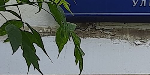 2-комн квартира Севанская улица, 21К1