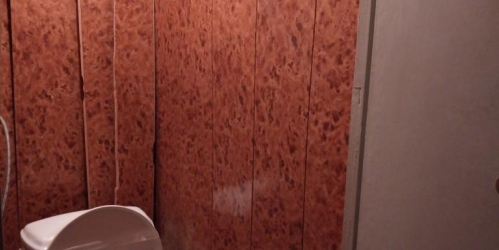 Комната Ольги Форш,  д. 5