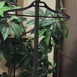 Продажа 1-комн квартиры на вторичном рынке Фермское шоссе, 32