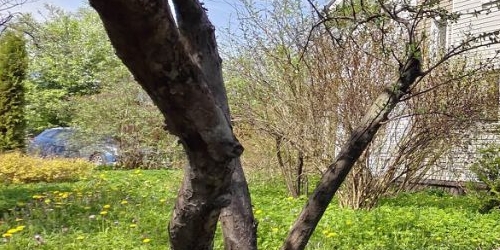 Коттедж/дом пос. Тярлево, Новая улица, 17