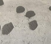 Продать Квартиры вторичка Березовая аллея, 19к4   