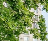 Продать Квартиры вторичка Мичуринская улица, 1   