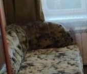 Продать Квартиры вторичка Башиловская улица, 23К1   