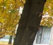 Продать Квартиры вторичка Севастопольский проспект, 51К3   