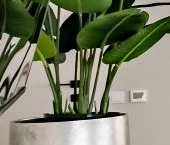 Продать Квартиры вторичка Стремянный переулок, 2   