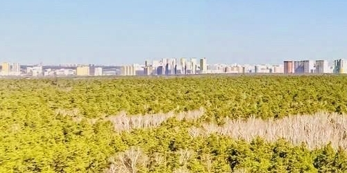 5-комн квартира Рублевское шоссе, 70к6