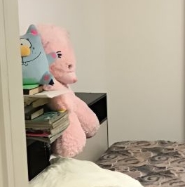 Аренда 1-комн квартиры на вторичном рынке пос. Шушары, проспект Старорусский, 11