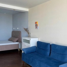 Продажа 1-комн квартиры на вторичном рынке Новосмоленская набережная