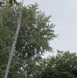 Продажа 1-комн квартиры на вторичном рынке улица 2-я Синичкина, 1/2 Продажа 1-комн квартиры на вторичном рынке улица 2-я Синичкина, 1/2