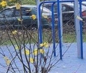 Продать Квартиры вторичка проспект Народного ополчения, 83   