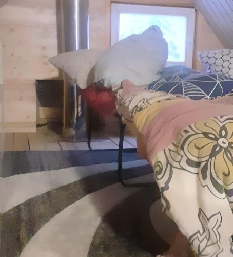 Коттедж/дом Вырица городской поселок, проспект Мельничный, 4