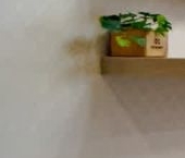 Продать Квартиры вторичка Сертолово, улица Верная, 1к2   