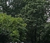 Продать Квартиры вторичка Сходня мкр, улица Некрасова, 6   