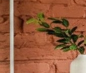 Продать Квартиры вторичка Пионерская улица, 48   