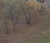 Продать Квартиры вторичка улица Авиаторов, 11К1   