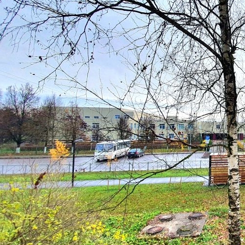 1-комн квартира Волосово, Ленинградская улица, 13