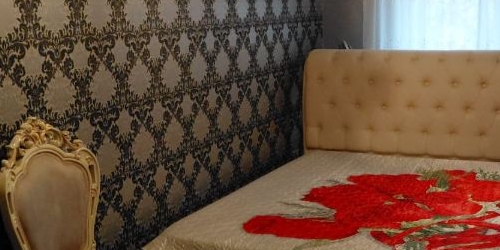 3-комн квартира улица Приорова, 3