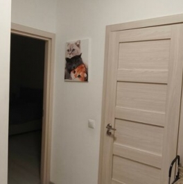Продажа 2-комн квартиры на вторичном рынке Комендантский пр-кт,  д. 66,  к. 1 стр 1
