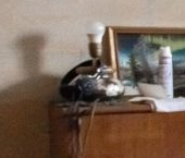 Продать Квартиры вторичка Лиговский проспект, 166   