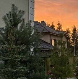 Продажа дома Петергоф, Собственный проспект, 54 Продажа дома Петергоф, Собственный проспект, 54