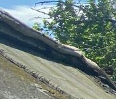 Продать Дачи, коттеджи, загородные дома Новая Ропша садоводческий массив, улица 13-я Западная   