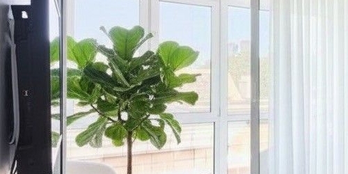 4-комн квартира улица Хамовнический Вал, 36