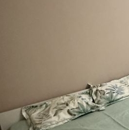 Аренда 1-комн квартиры на вторичном рынке Мурино, улица Шувалова, 11 Аренда 1-комн квартиры на вторичном рынке Мурино, улица Шувалова, 11