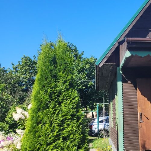 Коттедж/дом Факел СПК, 6-я линия, 99