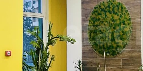 Студия проспект Александровской фермы, 8